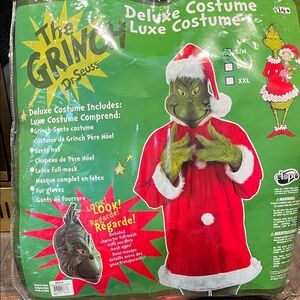 Grinch Santa Costume